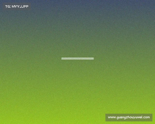 网球赛事主办方的责任与挑战：从组织到推广的全面解析