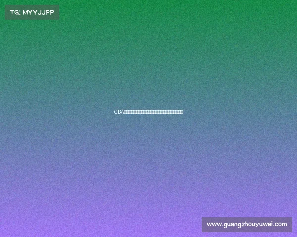 CBA试训结果揭晓各队表现各异新星崭露头角老将争夺席位