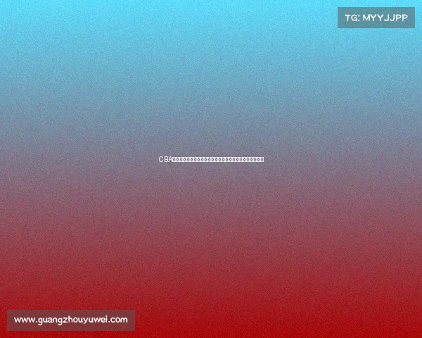 CBA训练营全景解析：探索球员成长之路与赛事准备的幕后故事