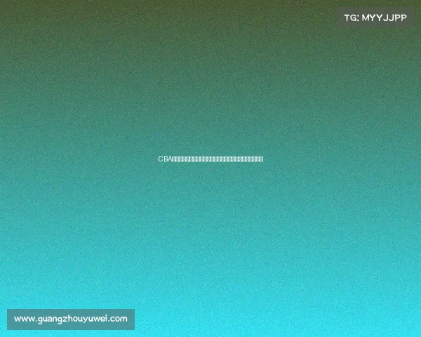 CBA训练营全景解析:探索球员成长之路与赛事准备的幕后故事 CBA训练营全景解析:探索球员成长之路与赛事准备的幕后故事