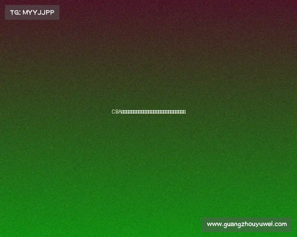 CBA训练营全景解析：探索球员成长之路与赛事准备的幕后故事