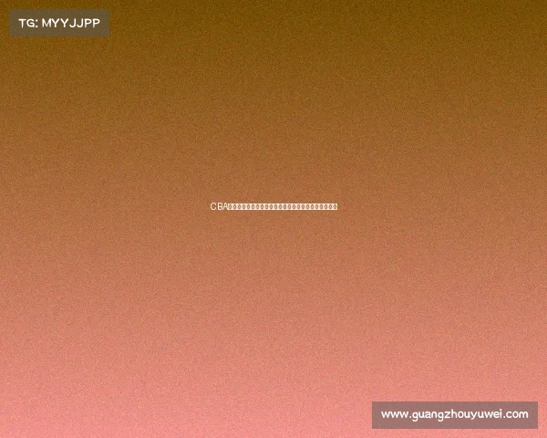 CBA试训结果揭晓各队表现各异新星崭露头角老将争夺席位