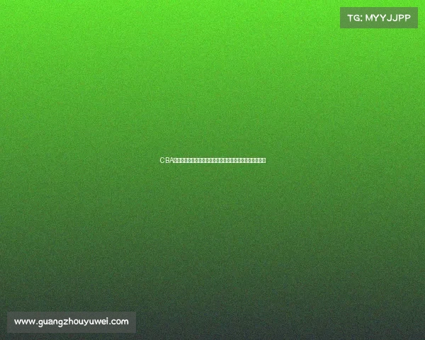 CBA训练营全景解析：探索球员成长之路与赛事准备的幕后故事