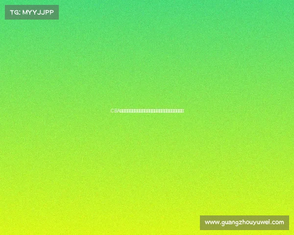 CBA训练营全景解析:探索球员成长之路与赛事准备的幕后故事