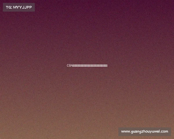 CBA试训结果揭晓各队表现各异新星崭露头角老将争夺席位